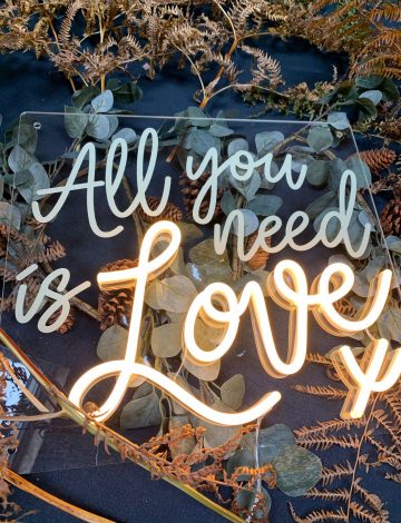 All You Need is Love LED Neon Sign with UV print